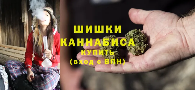 где купить наркоту  Волосово  Марихуана THC 21% 